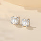 925 Sterling Silver Women's Simple Ins Classic Style Earrings